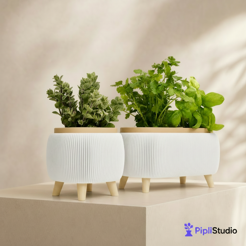 Modern Herb Planter Set with Drainage & Legs (set of 2)