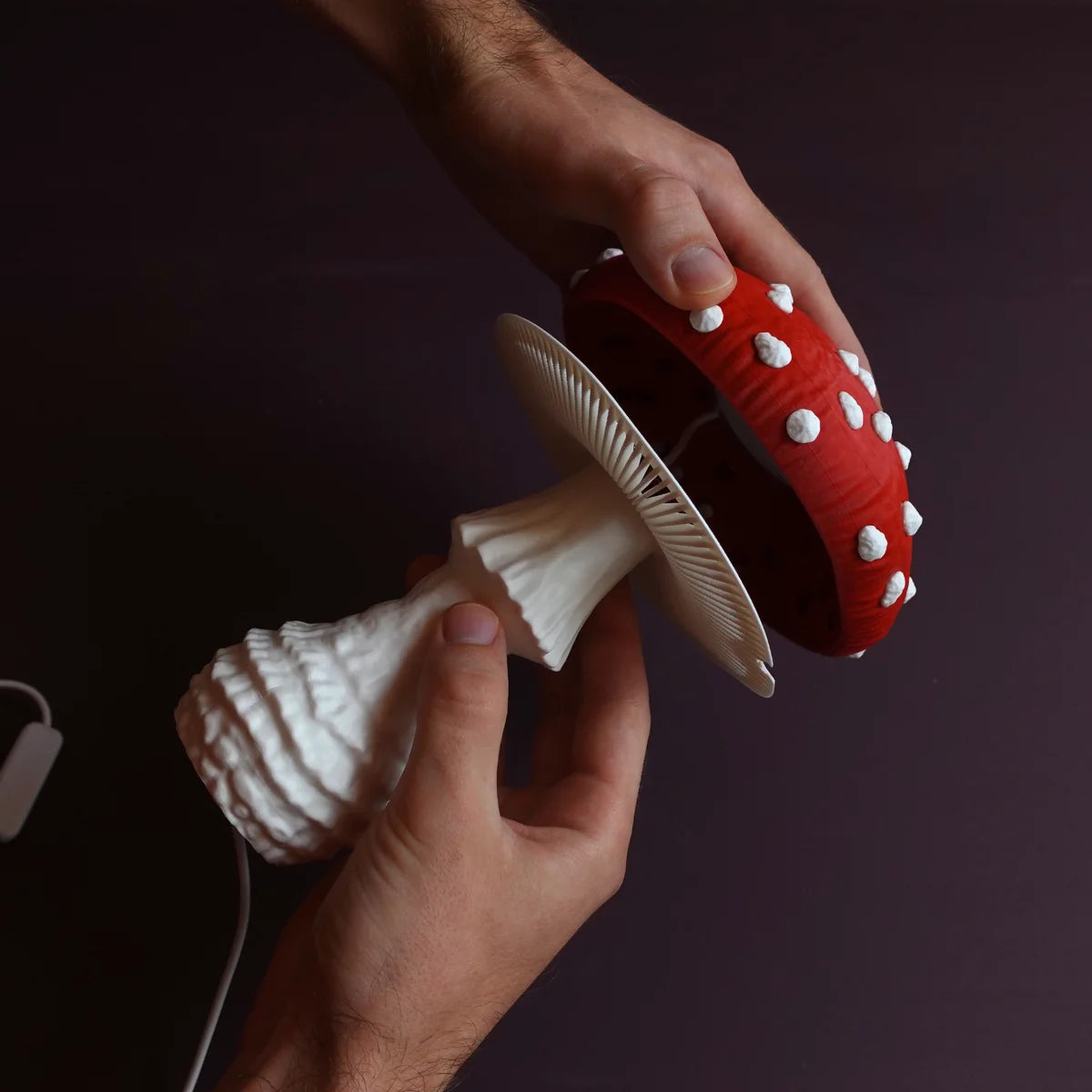 Mushroom Lamp β Amanita Muscaria Design