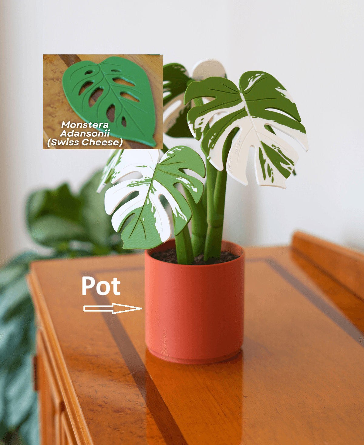 Leafix Monstera Coaster Set With Magnetic Leaves & Pot