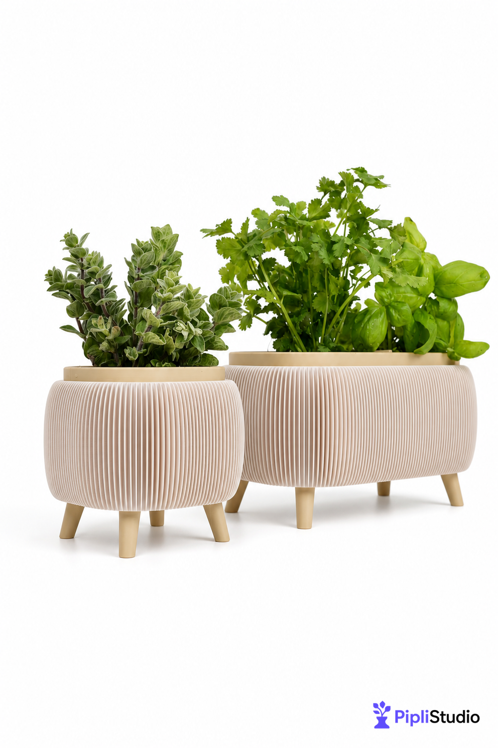 Modern Herb Planter Set with Drainage & Legs (set of 2)