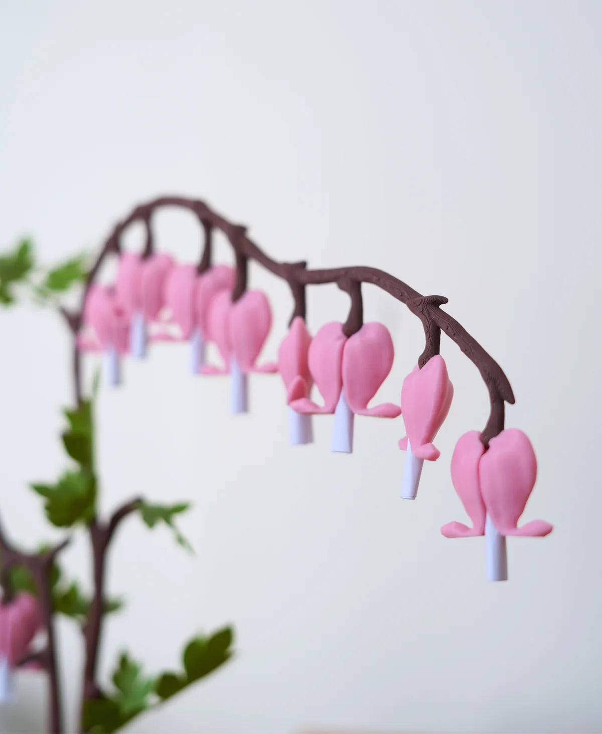 Bleeding Hearts - Functional Plant Print For Valentines Day - Secret Jewelry Box