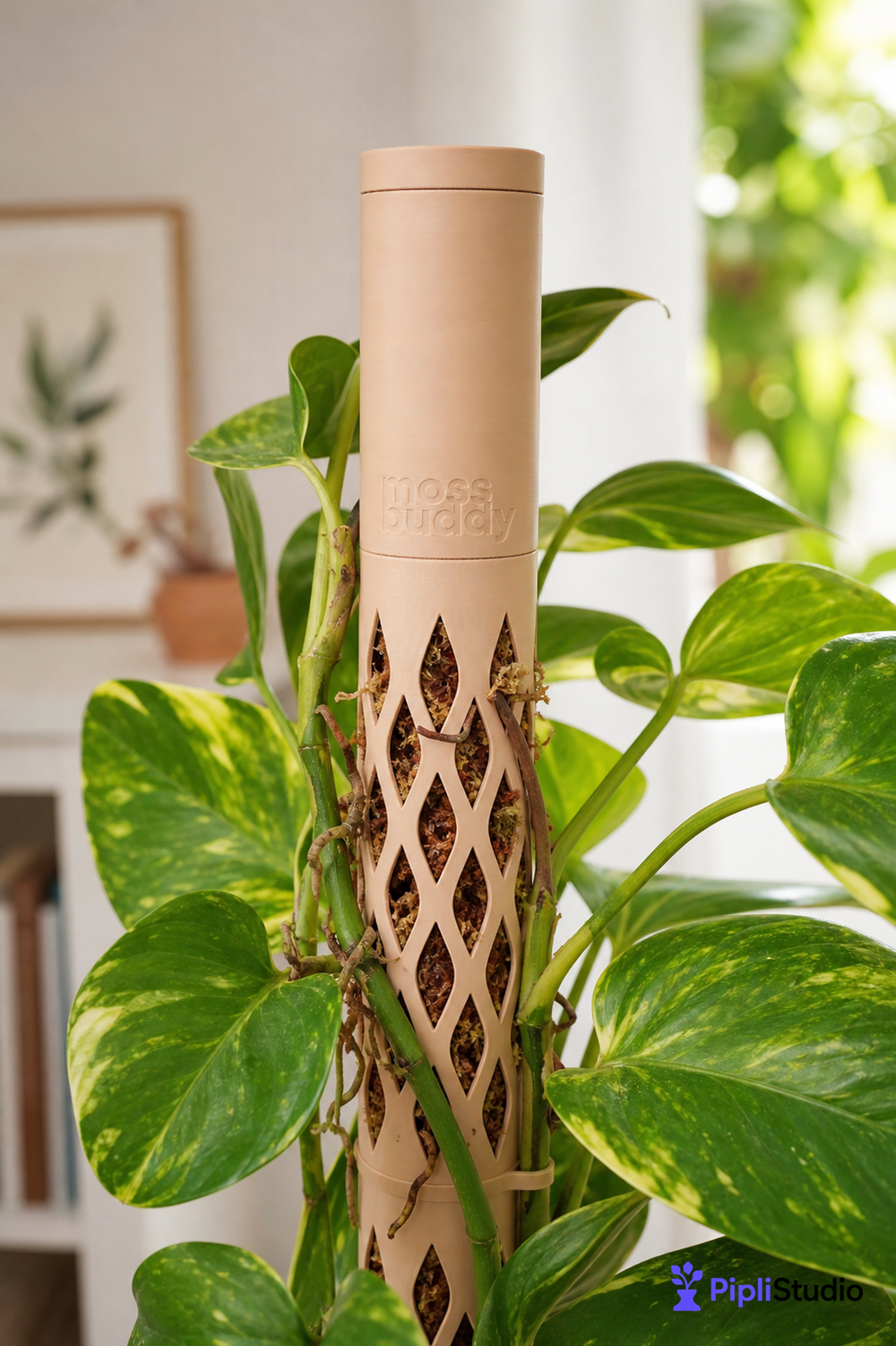 Modular Self-Watering Moss Pole for Climbers
