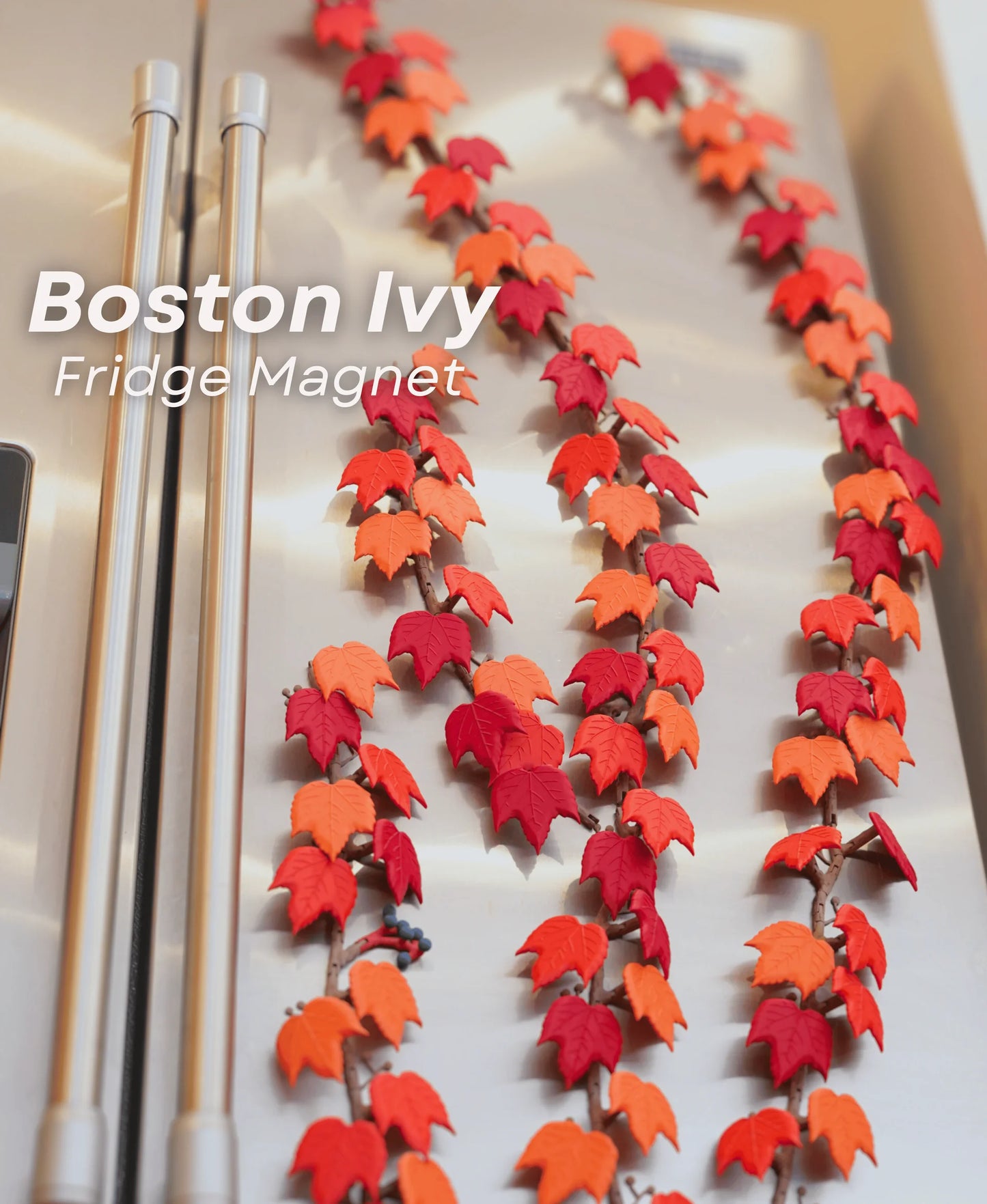 MagLeaf Magnetic Vine With Articulating Stems, Fridge Magnet (Morning Glory, Ivy Leaf & Boston Ivy Leaf)