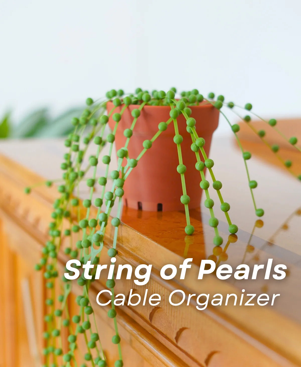 String of Pearls Cable Organizer - Cable Ties - Zip Tie (Plant With Pot)