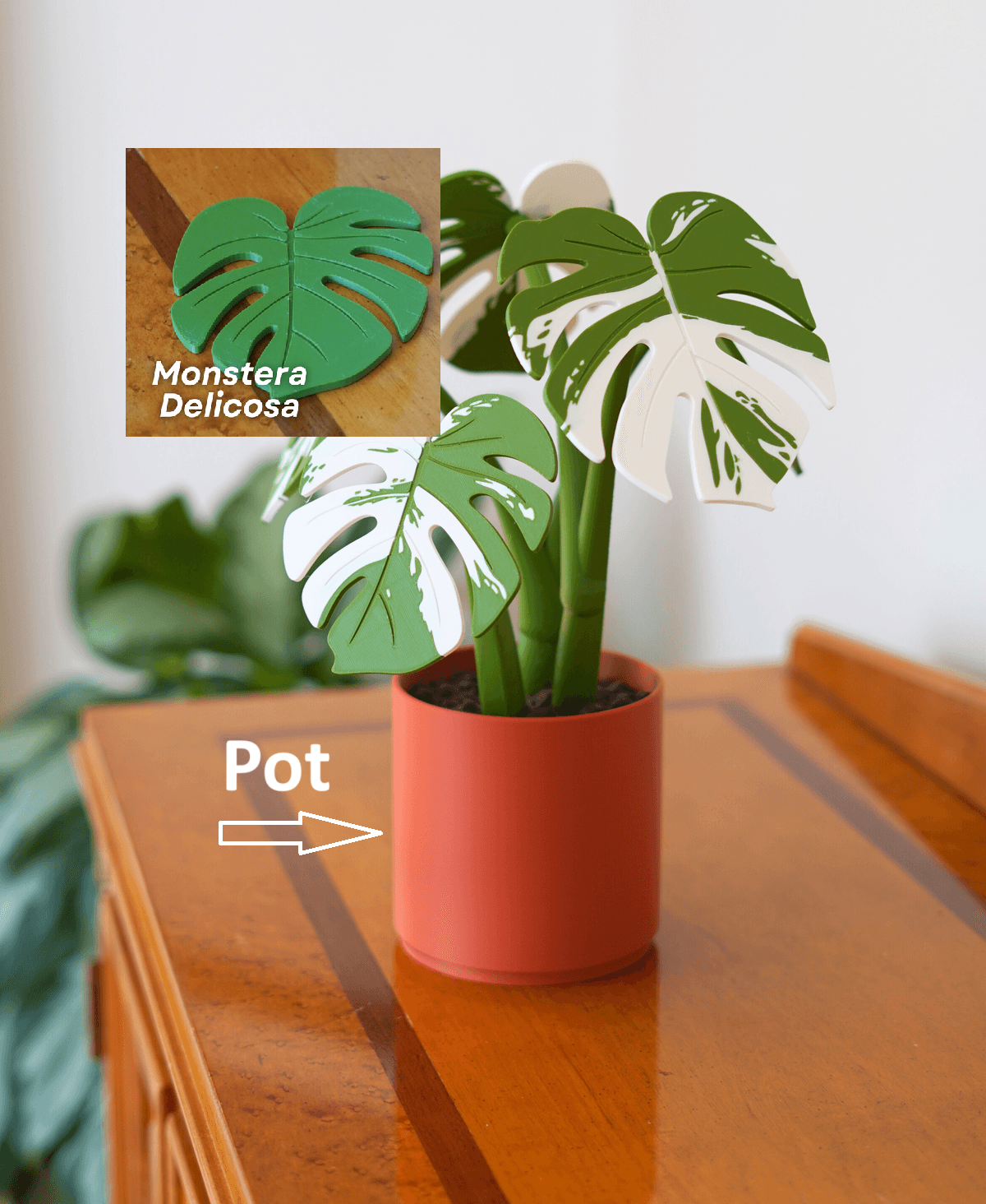 Leafix Monstera Coaster Set With Magnetic Leaves & Pot