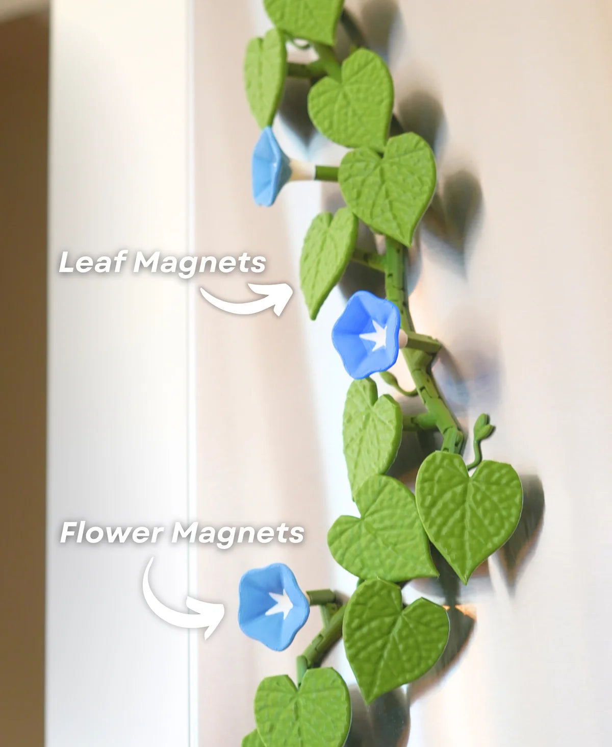 MagLeaf Magnetic Vine With Articulating Stems, Fridge Magnet (Morning Glory & Ivy Leaf)