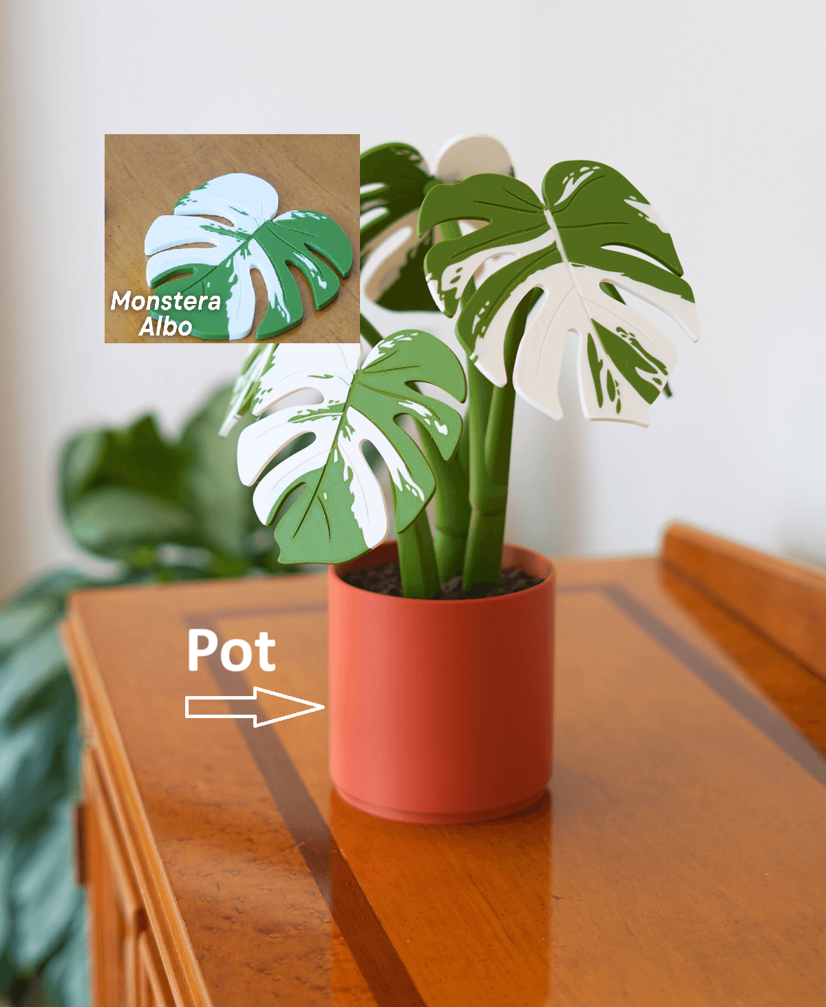 Leafix Monstera Coaster Set With Magnetic Leaves & Pot