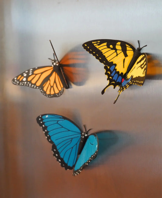 Butterfly Fridge Magnets (Set Of 3)