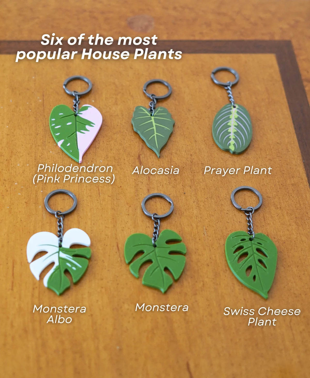 Leafy Keys - Houseplant Keychains For Car Key Ring and House Keys (Set Of 6)