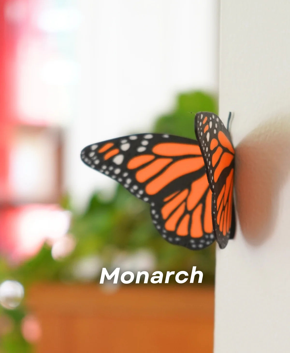Butterfly Fridge Magnets (Set Of 3)