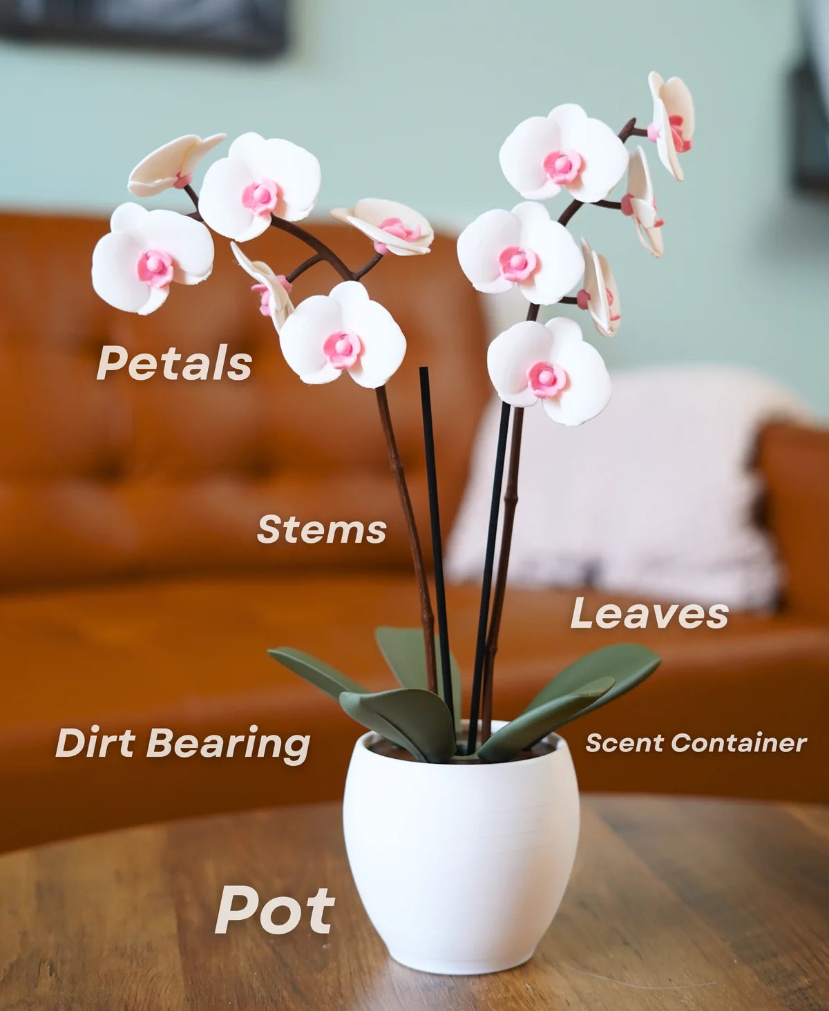 Aromatic Orchid Oil Diffusor and Incense Holder - with Spinning Leaves
