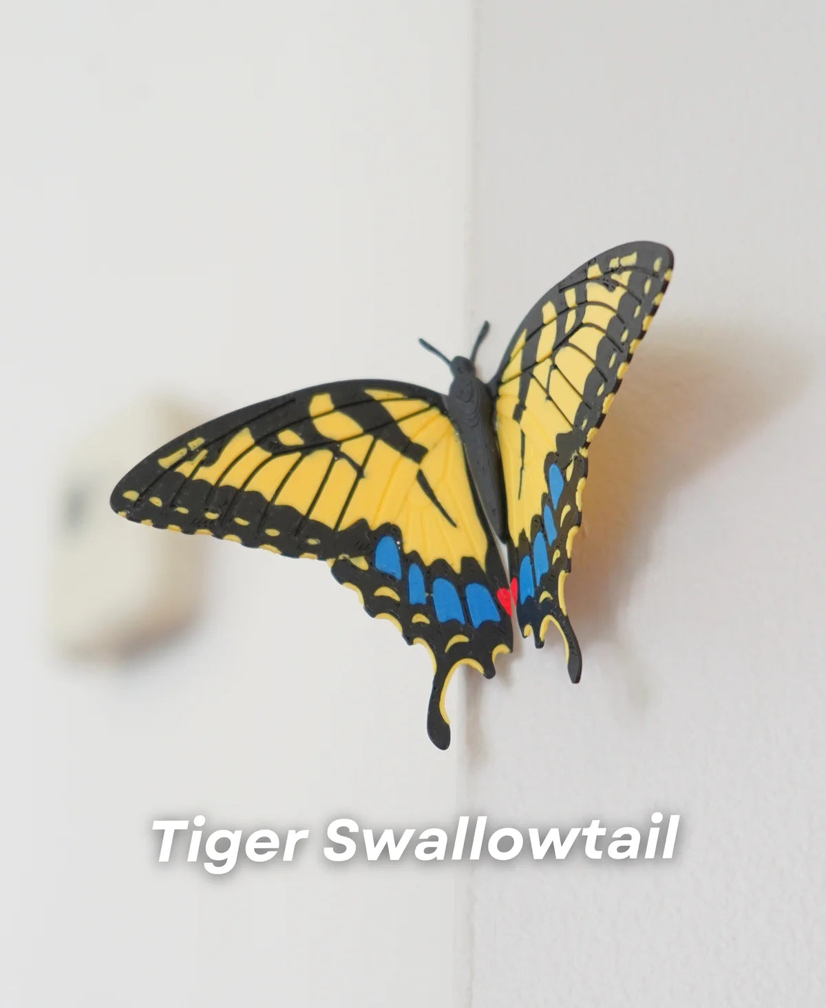 Butterfly Fridge Magnets (Set Of 3)
