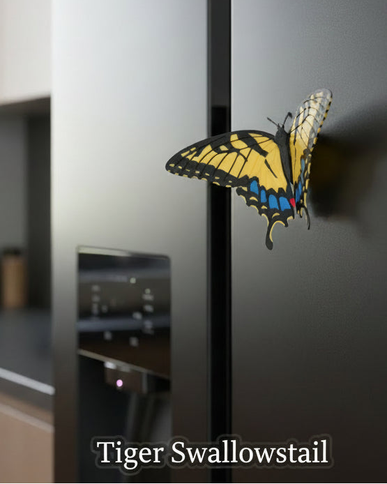 Butterfly Fridge Magnets (Set Of 3)