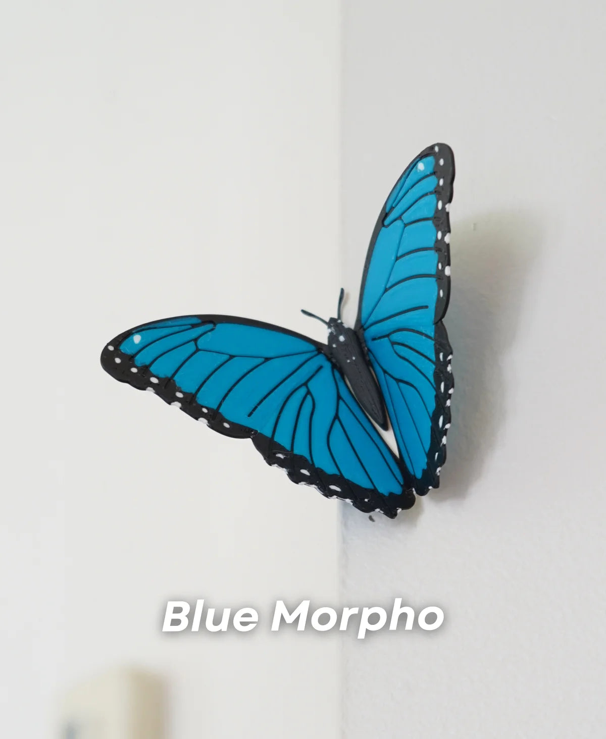Butterfly Fridge Magnets (Set Of 3)