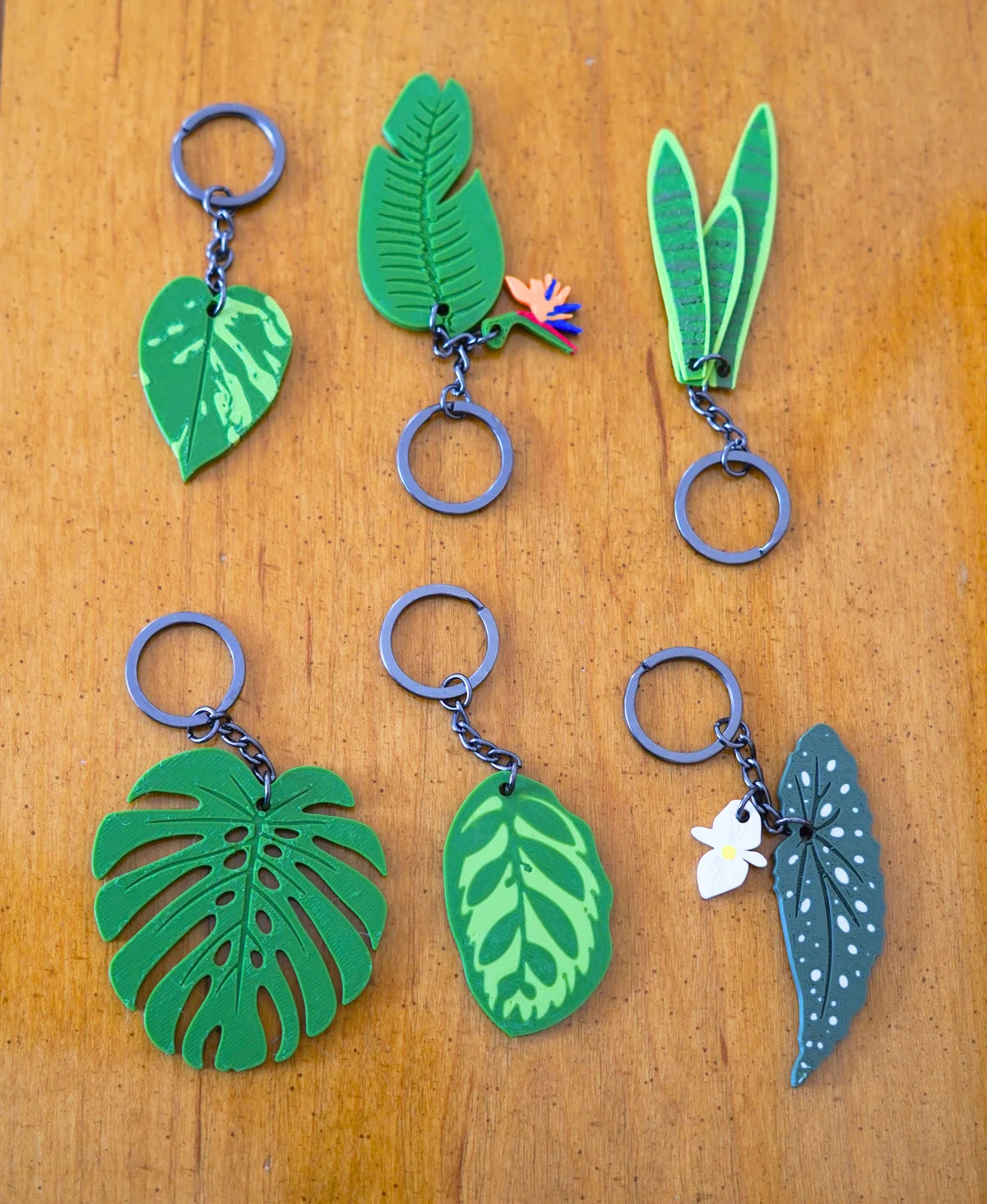 Leafy Keys - Houseplant Keychains For Car Key Ring and House Keys (Set Of 6)
