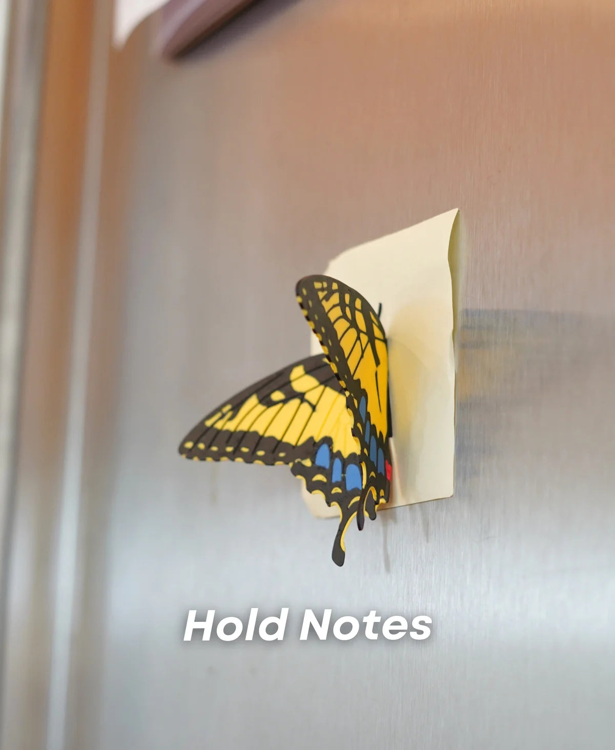 Butterfly Fridge Magnets (Set Of 3)
