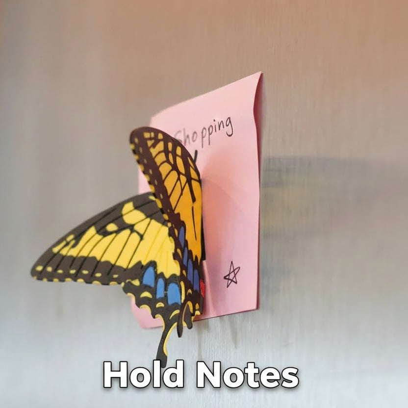 Butterfly Fridge Magnets (Set Of 3)