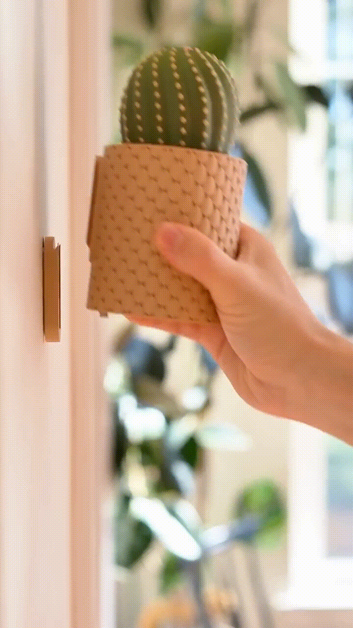 Cacti Keys - Cactus Blooming Wall Mounted Keyholder