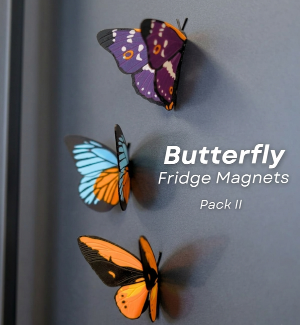 Butterfly Fridge Magnets (Set Of 3)