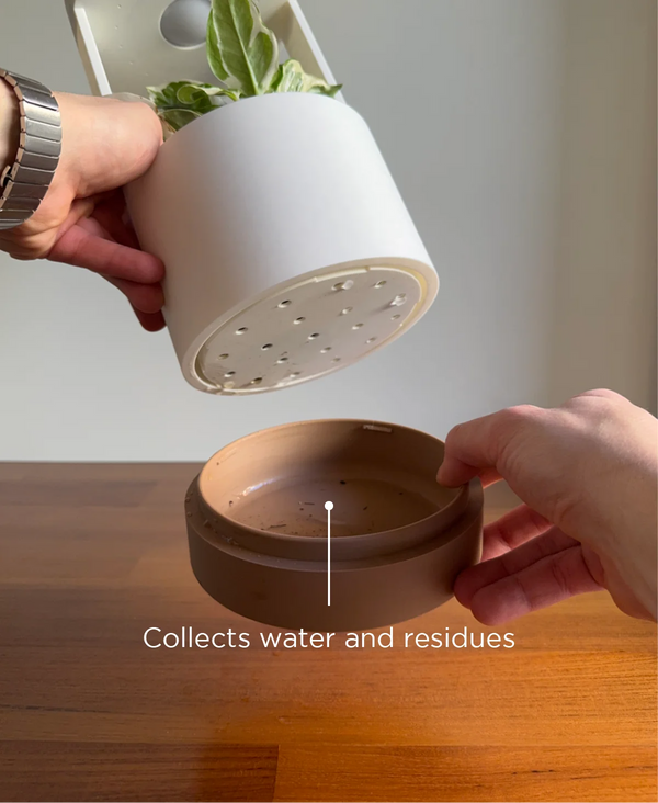 Lantern, Desk Vase With Grow Light And Drip Tray (Manual)