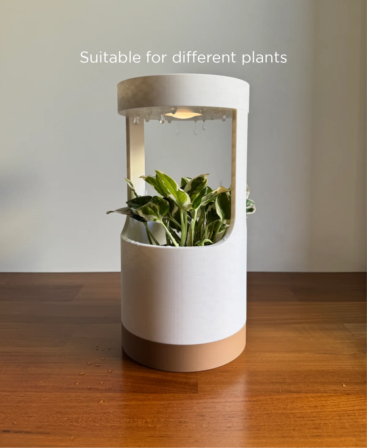 Lantern, desk vase with grow light and drip tray