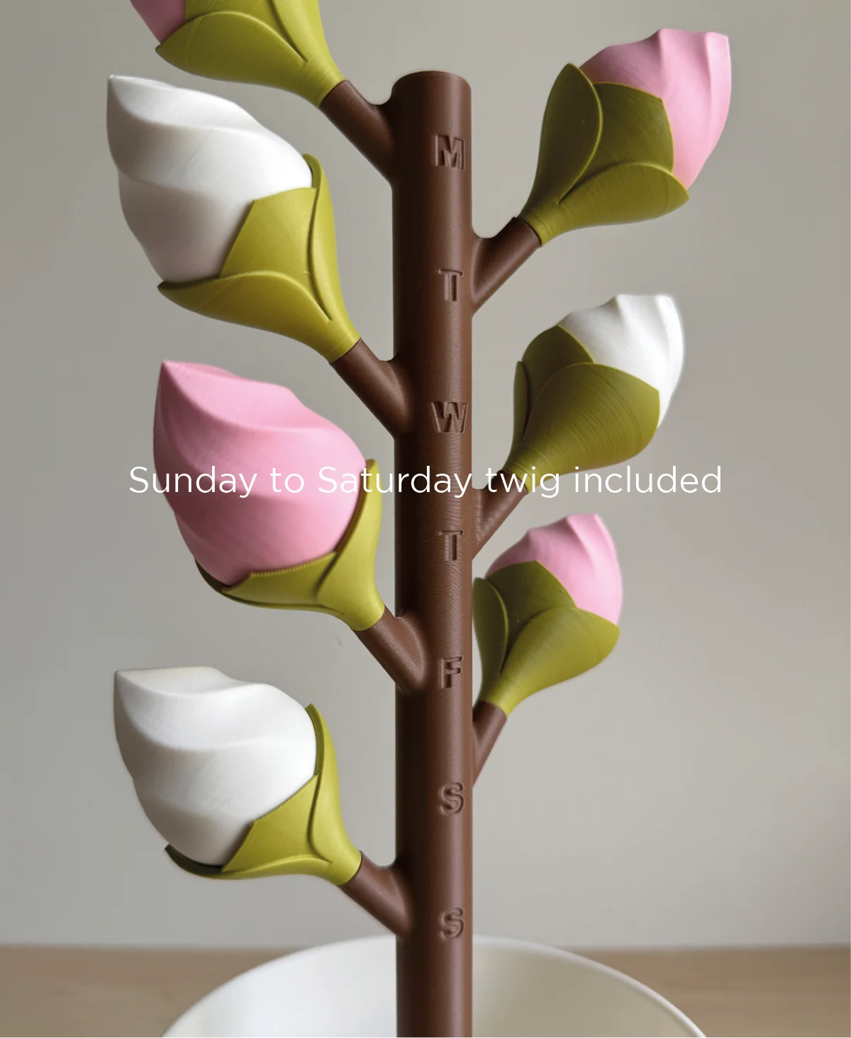 Budsy Weekly Pill Dispenser - Personal Pill Organiser