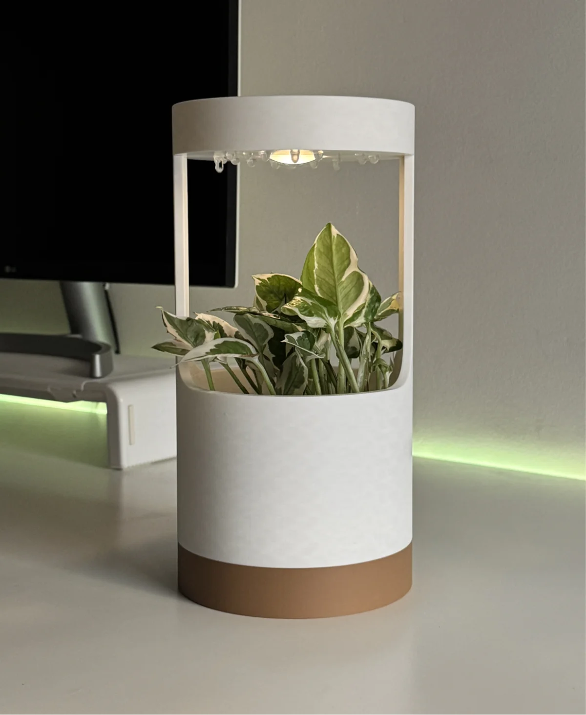 Lantern, desk vase with grow light and drip tray