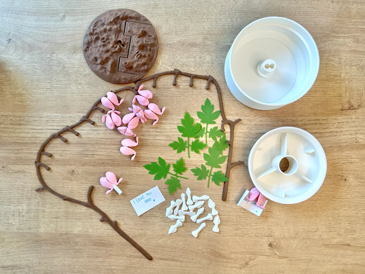 Bleeding Hearts - Functional Plant Print For Valentines Day - Secret Jewelry Box
