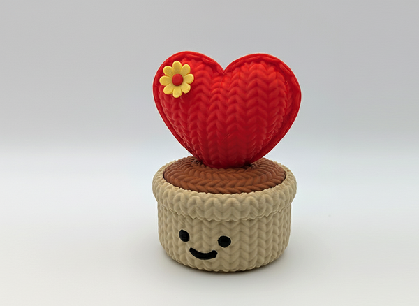 Knitted Love Heart Cactus Smiley Pot (Threaded Design) – Valentine Gift