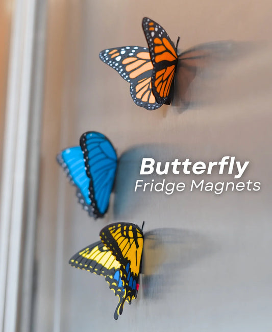 Butterfly Fridge Magnets (Set Of 3)