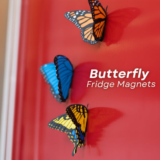 Butterfly Fridge Magnets (Set Of 3)