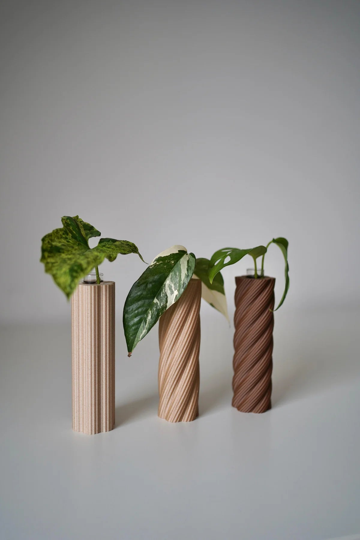 RootNest Plant Propagation Tube Vases, Test Tube Holder, Planter (Set Of 3)