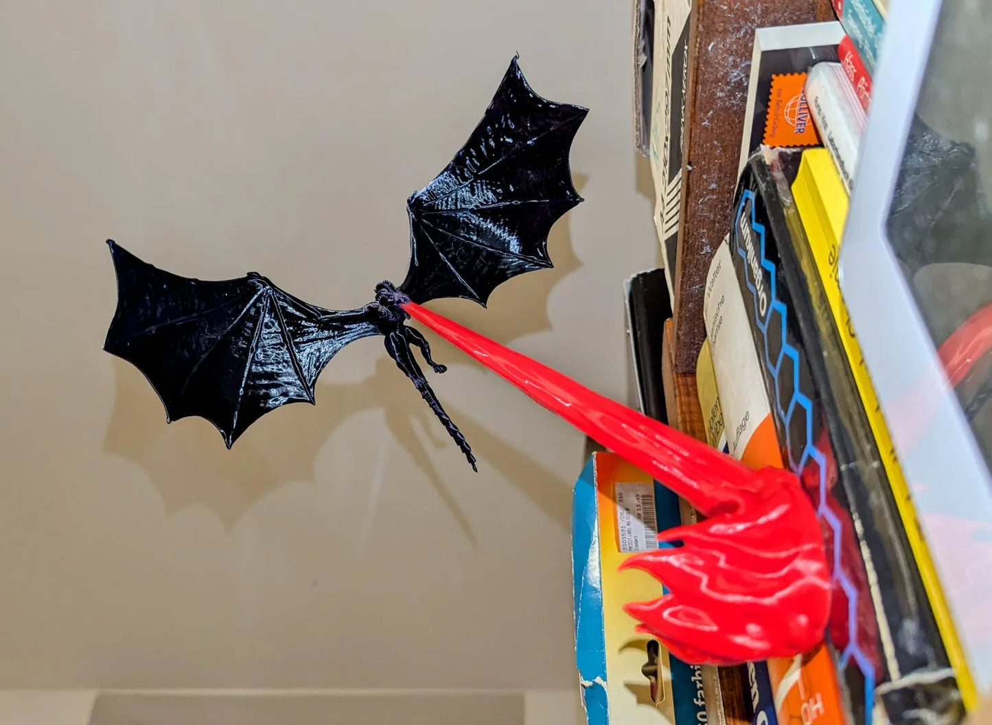 Flying Dragon Book Nook
