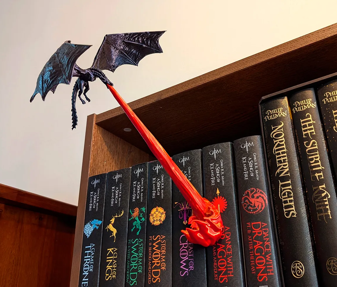 Flying Dragon Book Nook