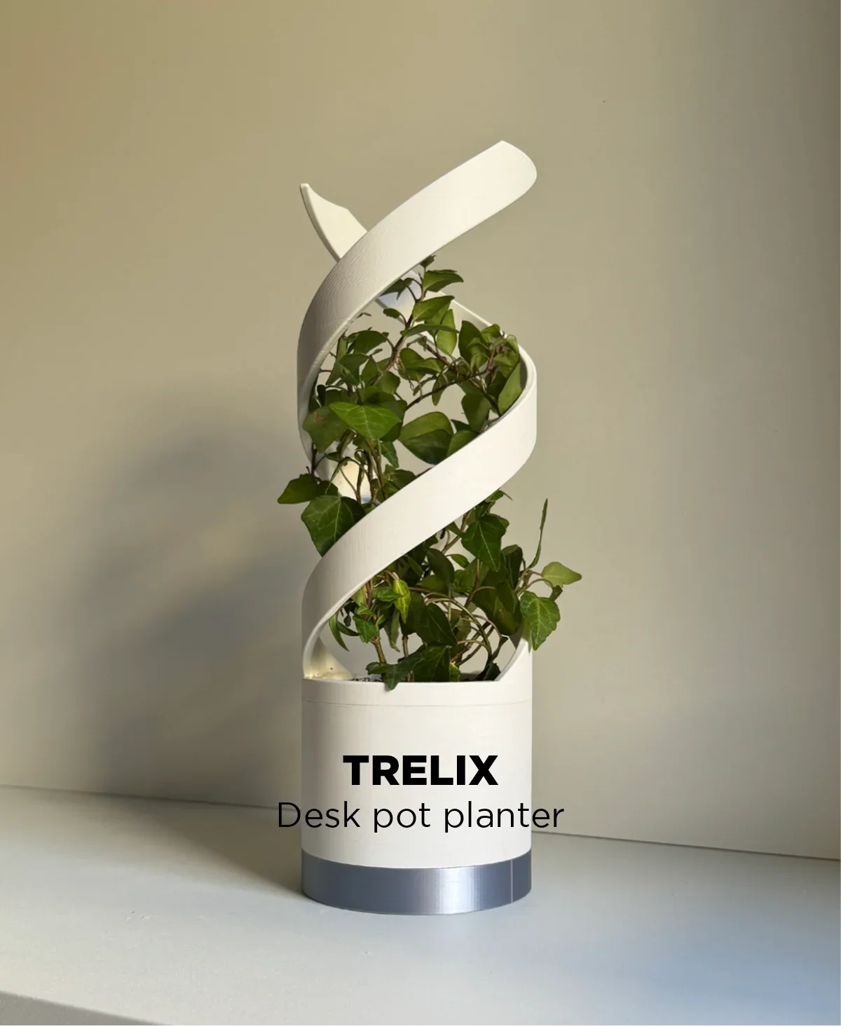 Elegant Planters