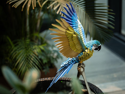 Life-Size Macaw 3D Wall Decor Puzzle