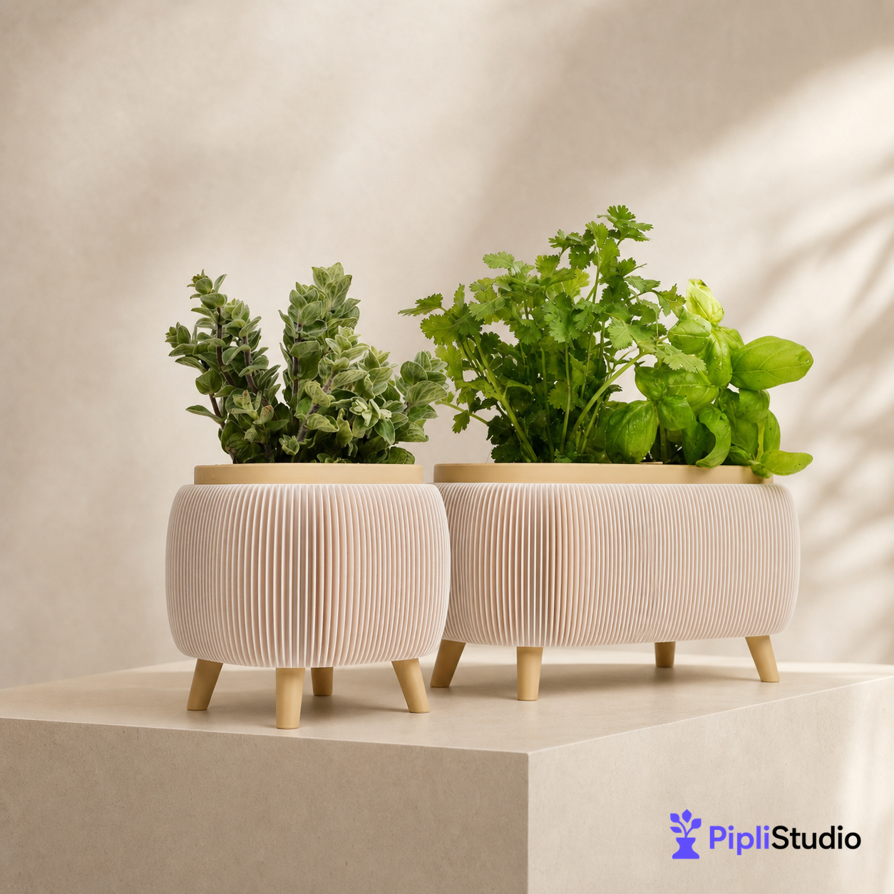Modern Herb Planter Set with Drainage & Legs (set of 2)
