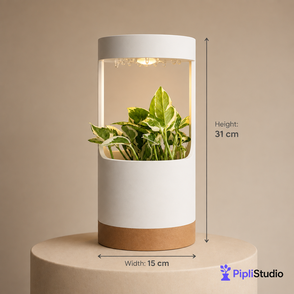 Lantern, Desk Vase With Grow Light And Drip Tray (Manual)