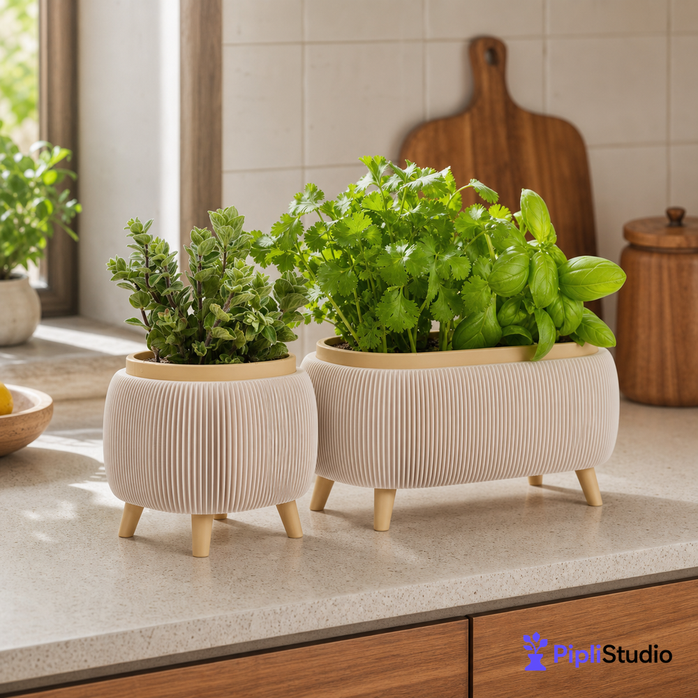 Modern Herb Planter Set with Drainage & Legs (set of 2)