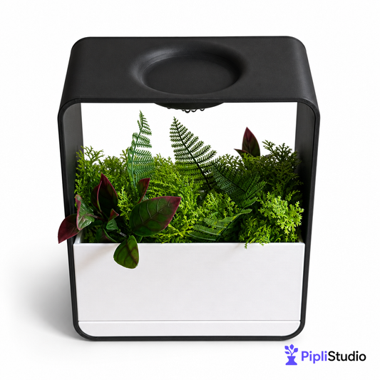 Cloud XL Self-Watering Desk Planter Vase with Drip Tray