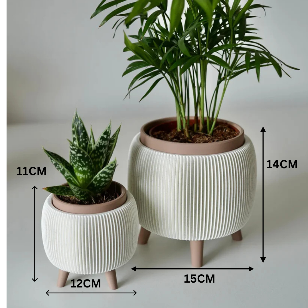 LiftBloom Indoor Planter with Legs - Desk Showpiece (Set Of 2)