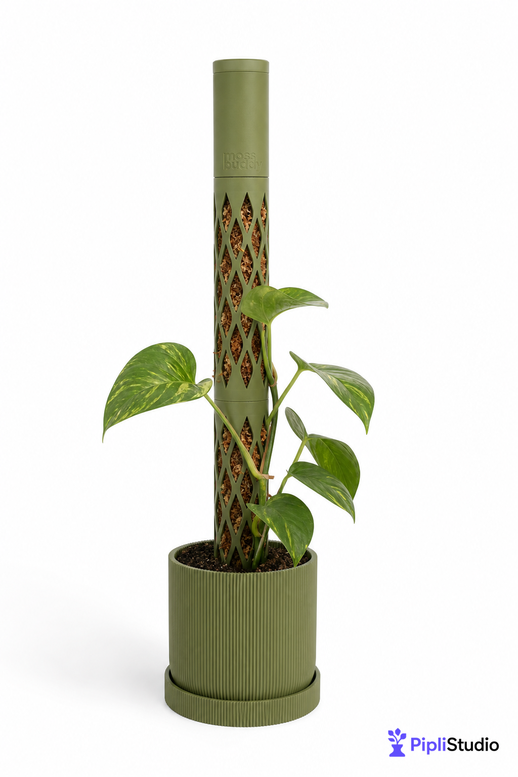 Modular Self-Watering Moss Pole for Climbers