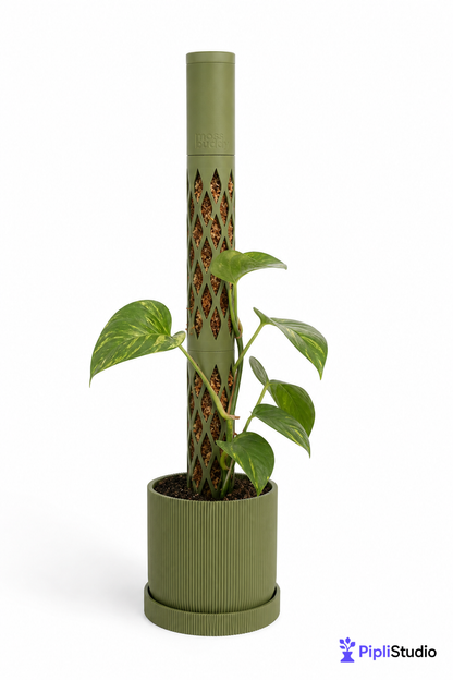 Modular Self-Watering Moss Pole for Climbers