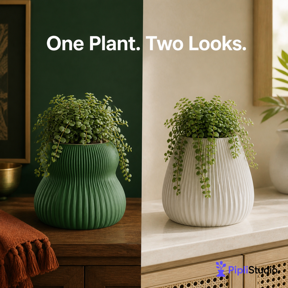 Modular Self-Watering Planter Set | Easy Plant Care (Pack of 2)