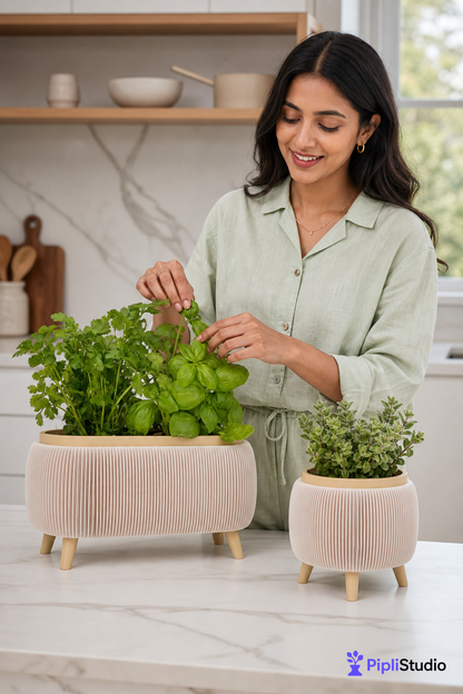 Modern Herb Planter Set with Drainage & Legs (set of 2)
