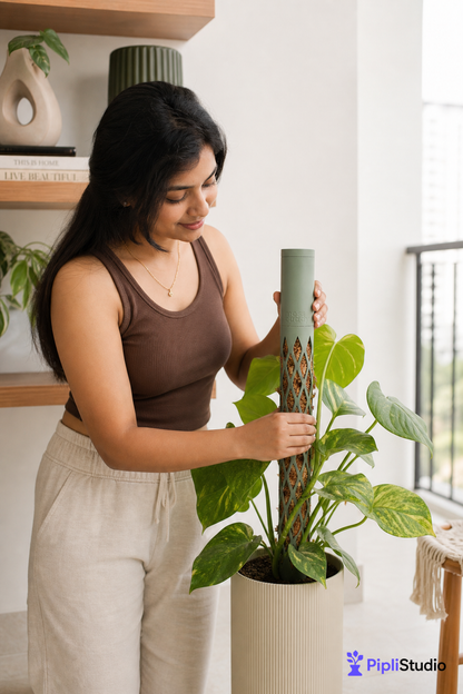 Modular Self-Watering Moss Pole for Climbers