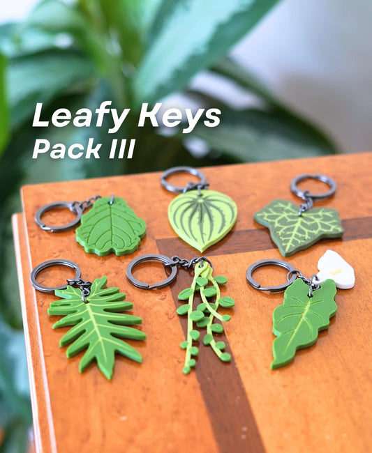 Leafy Keys - Houseplant Keychains For Car Key Ring and House Keys (Set Of 6)