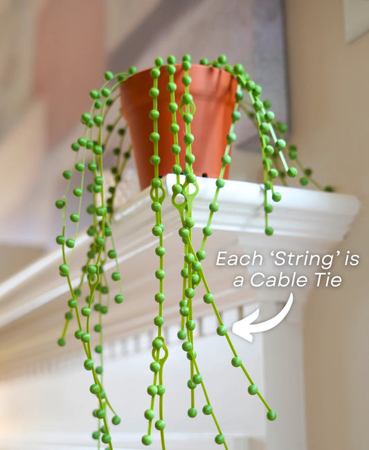 String of Pearls Cable Organizer - Cable Ties - Zip Tie (Plant With Pot)