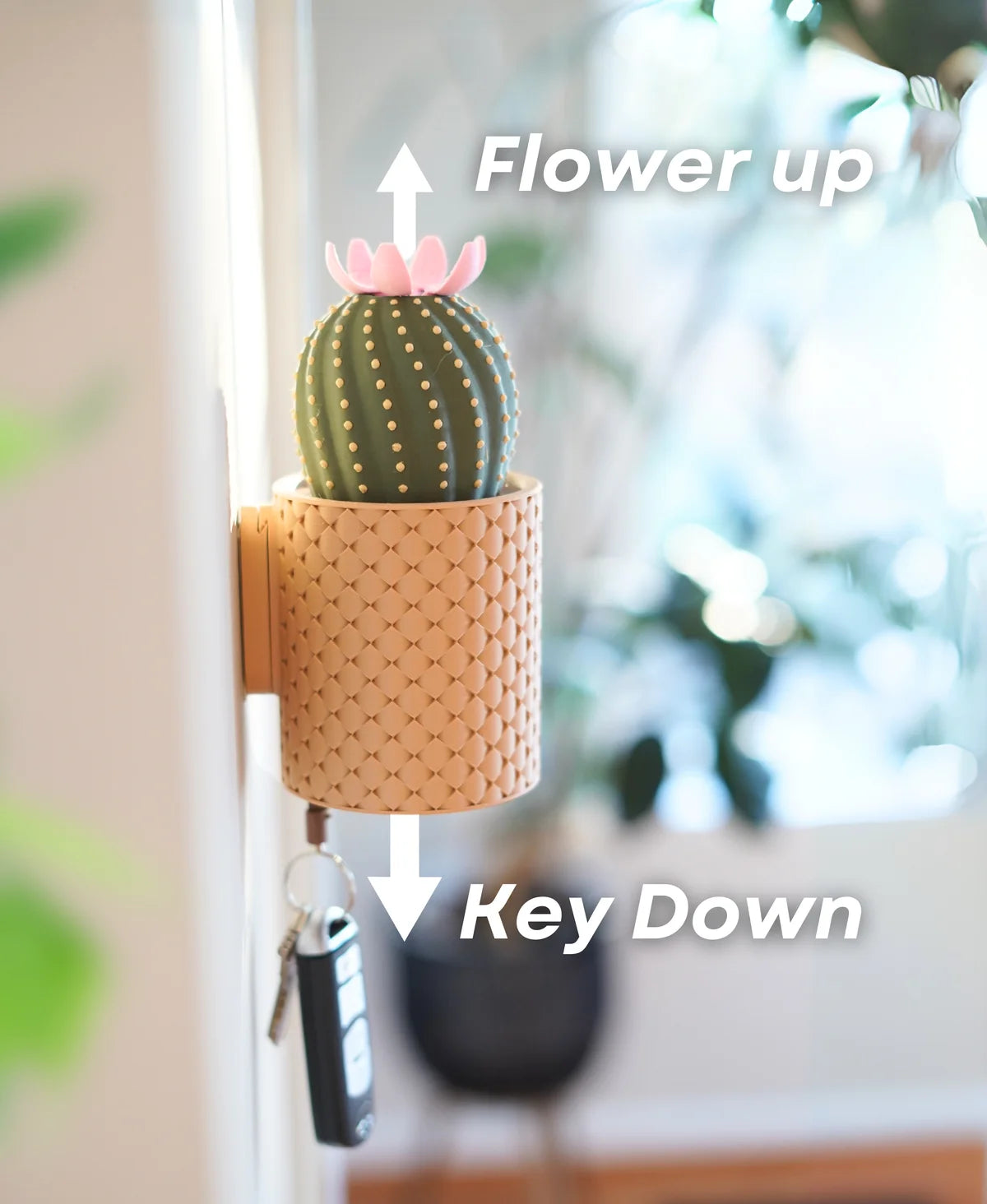 Cacti Keys - Cactus Blooming Wall Mounted Keyholder