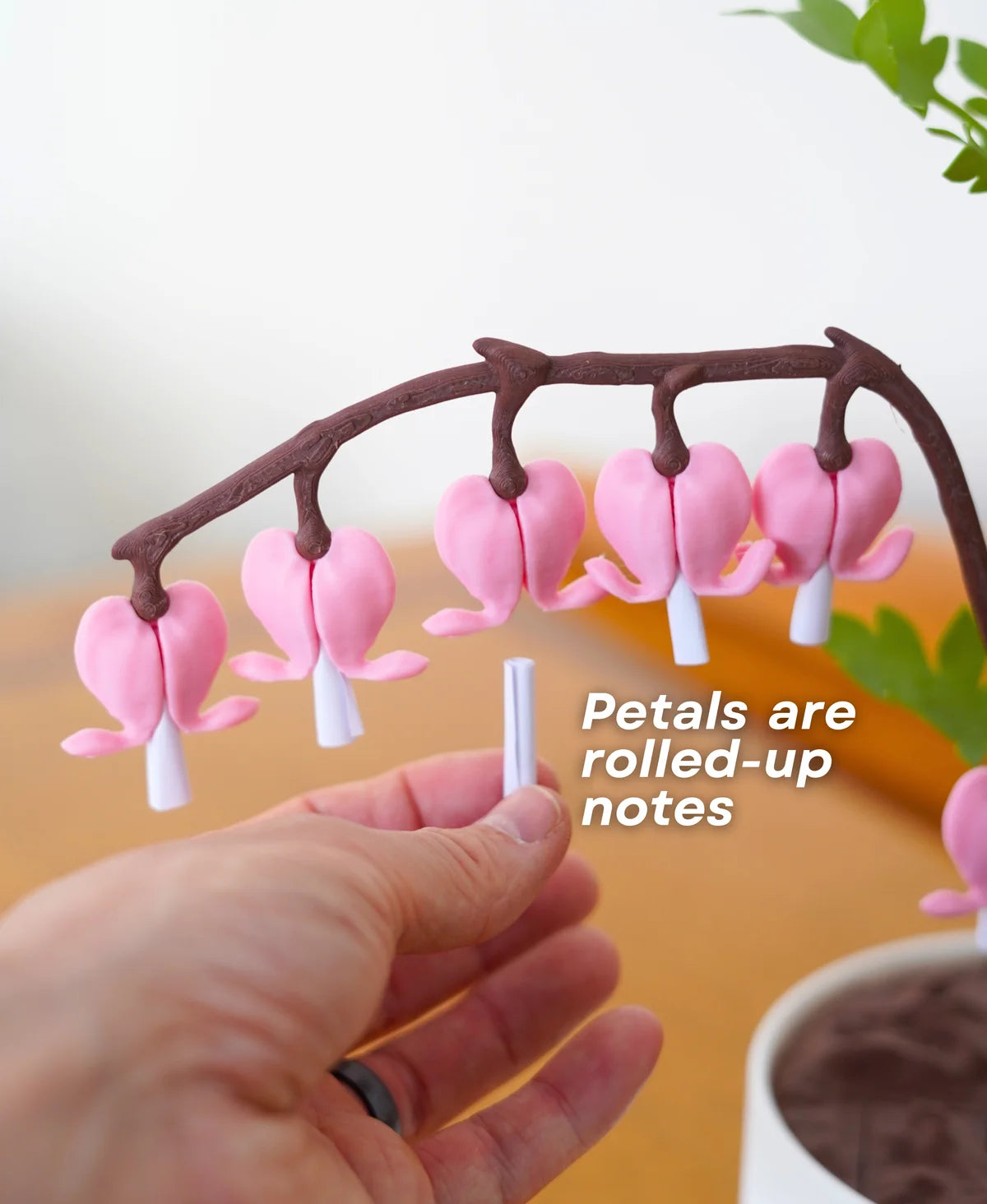 Bleeding Hearts - Functional Plant Print For Valentines Day - Secret Jewelry Box
